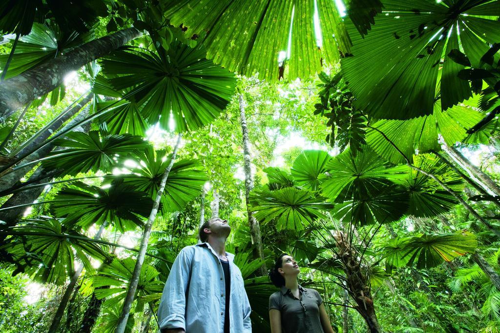 Black Palm เคปทริบูเลชัน ภายนอก รูปภาพ